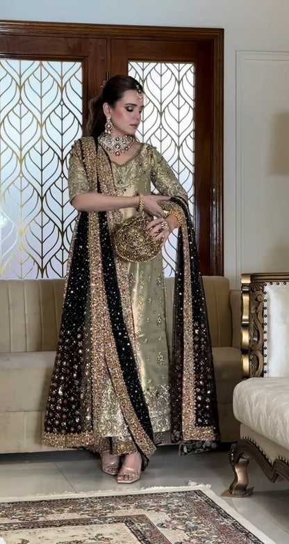 HARIS SHAKEEL SHABNAM SUMBAL