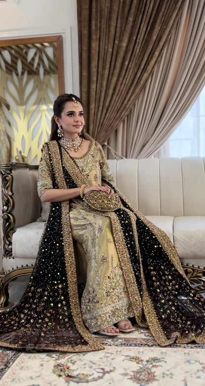 HARIS SHAKEEL SHABNAM SUMBAL